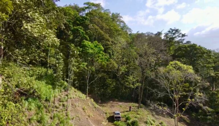 Lote 001 en Florencia 2 768x442