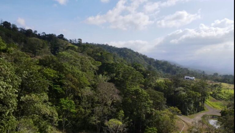 Lote 001 en Florencia 3 768x435